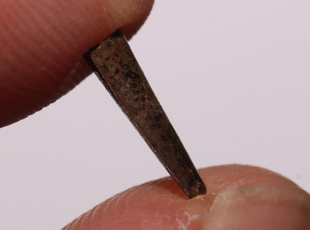 Richardoestesia Tooth GREAT SERRATIONS Hell Creek Formation Cretaceous