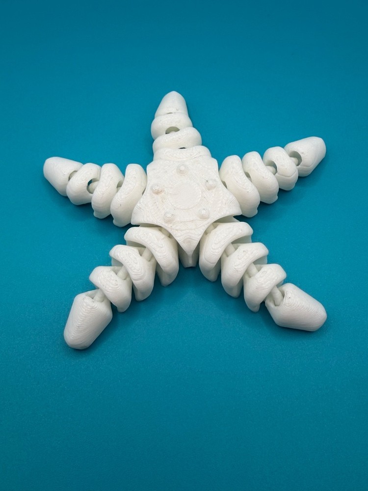 Articulated Starfish 3D Printed