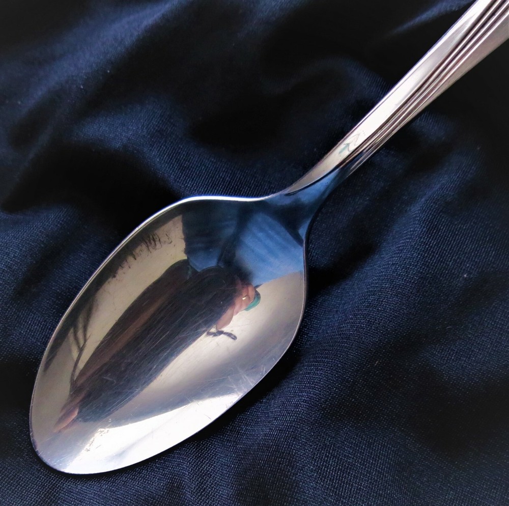 W. A Rogers AA ~ Brittany Rose (1948 Pattern) Teaspoon: SHIPS FREE & INSURED