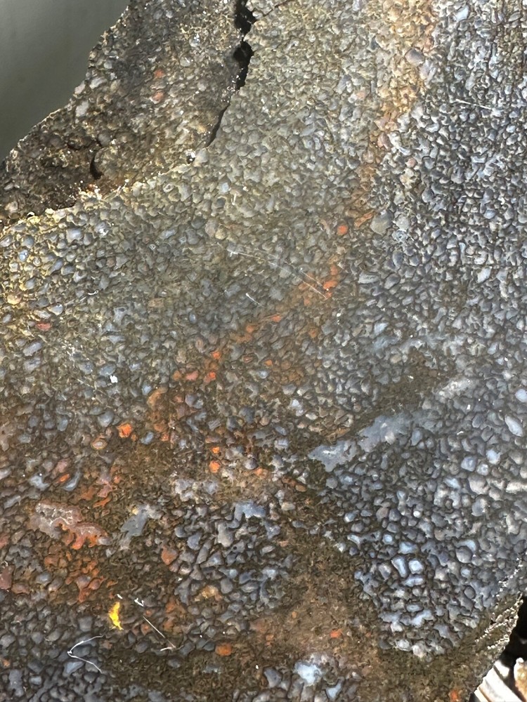 Dinosaur bone rough **hxtled large slab.