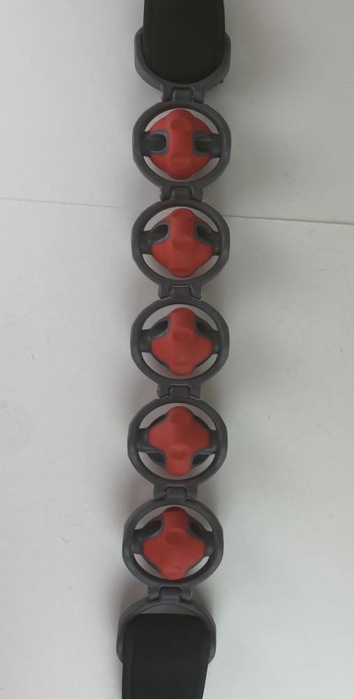 Brookstone FTS Forster Training Systems Back Massager