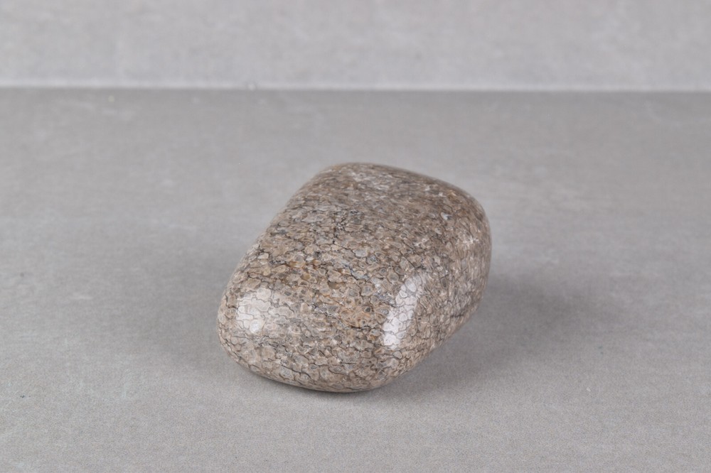 Fossilized Dinosaur Bone Polished from Morocco 4.0 cm # 19757