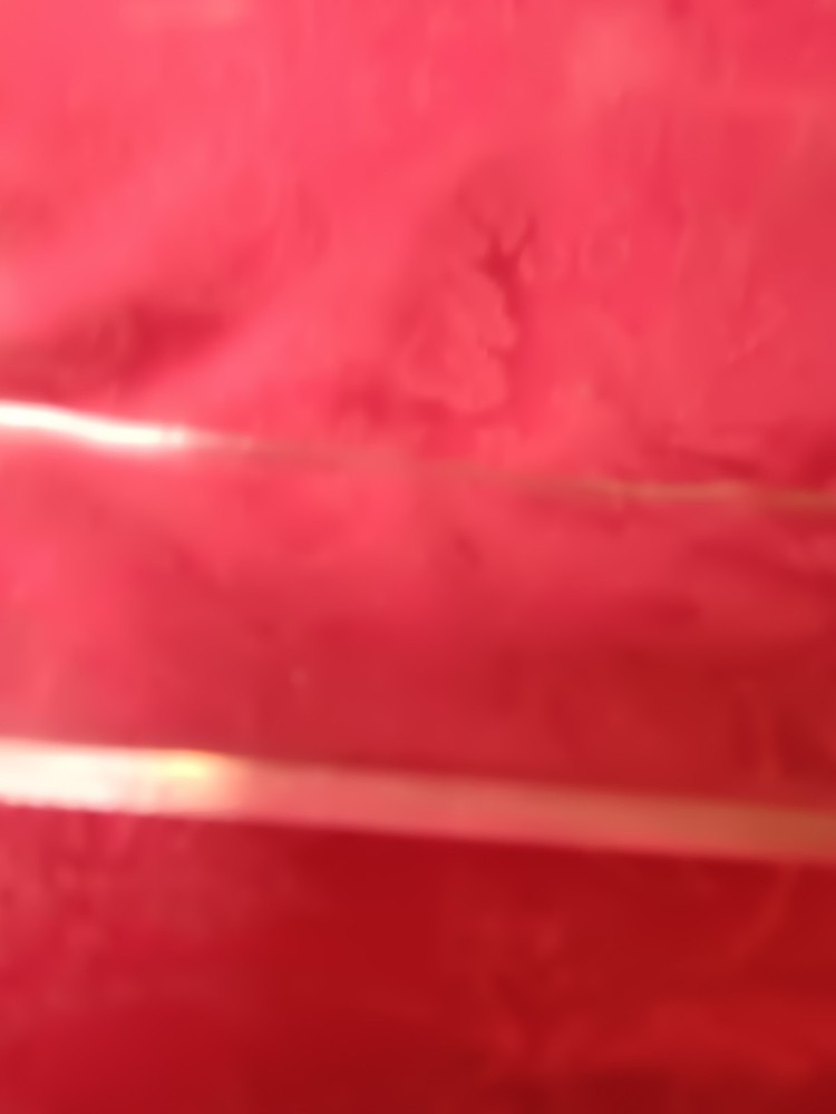 2 Half Circle Clear Glass Baking Dishes Marked MB