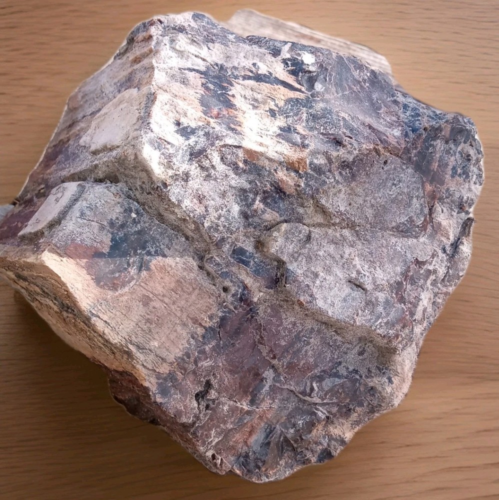 Petrified Wood Rough AZ 4 lbs 8 oz