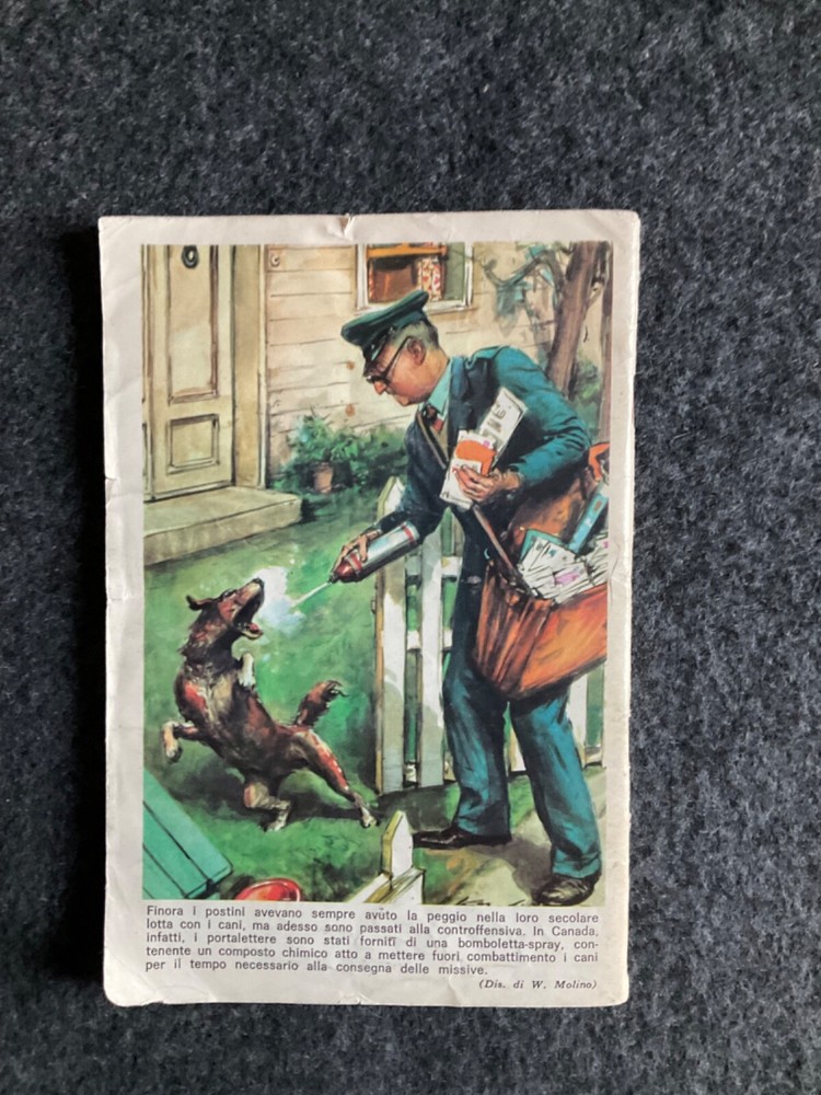 IL MONELLO