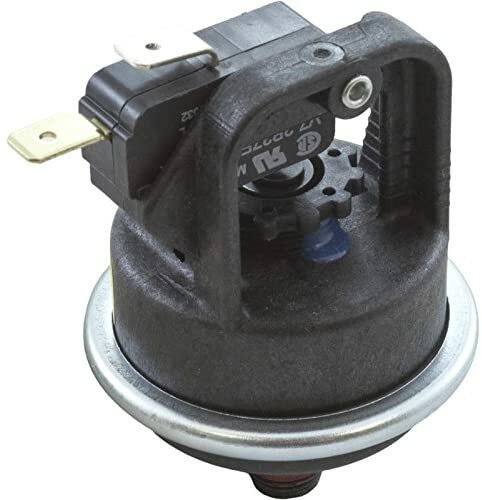 Pentair 42001-0060S Water Pressure Switch, MasterTemp & Max-E-Therm