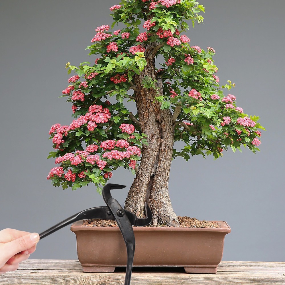 Bonsai Tree Trunk Splitters