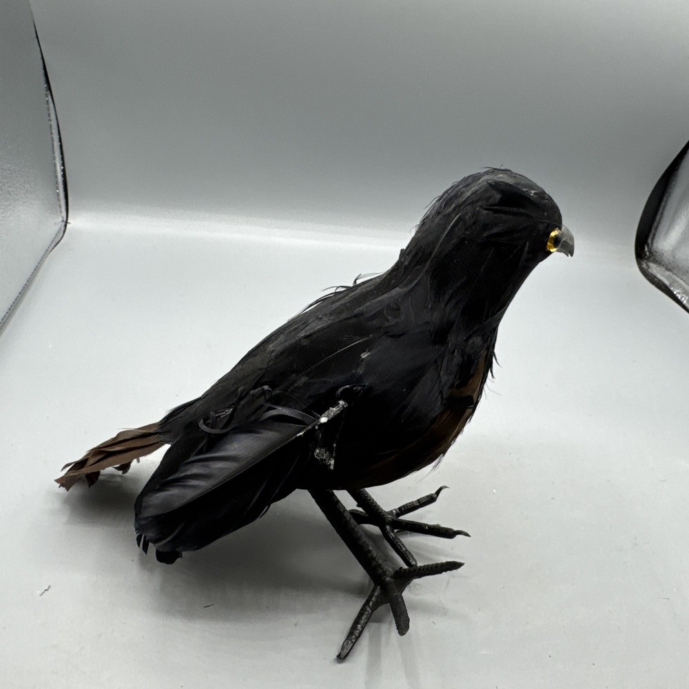5 PCS Black Feathered Crows Halloween Ravens