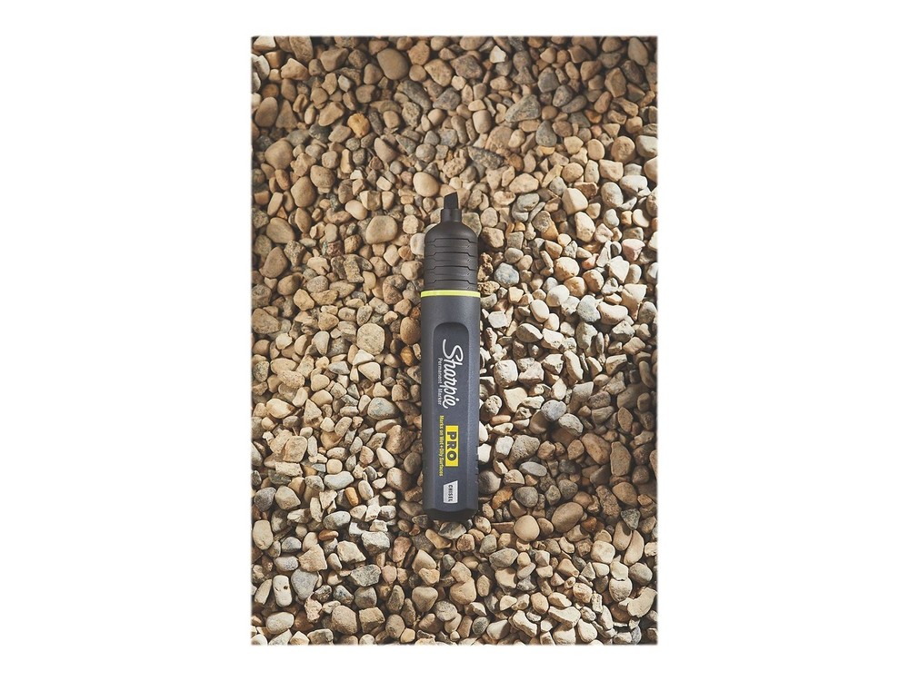 Pro Permanent Marker, Medium, Chisel Tip, Black, 12 Count (2018326)