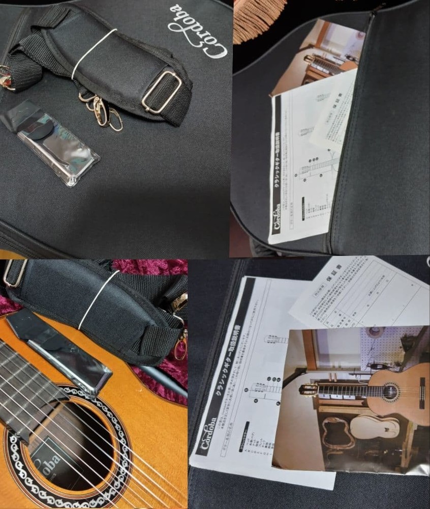 Cordoba Luthier C10 CD Classical Guitar with Case