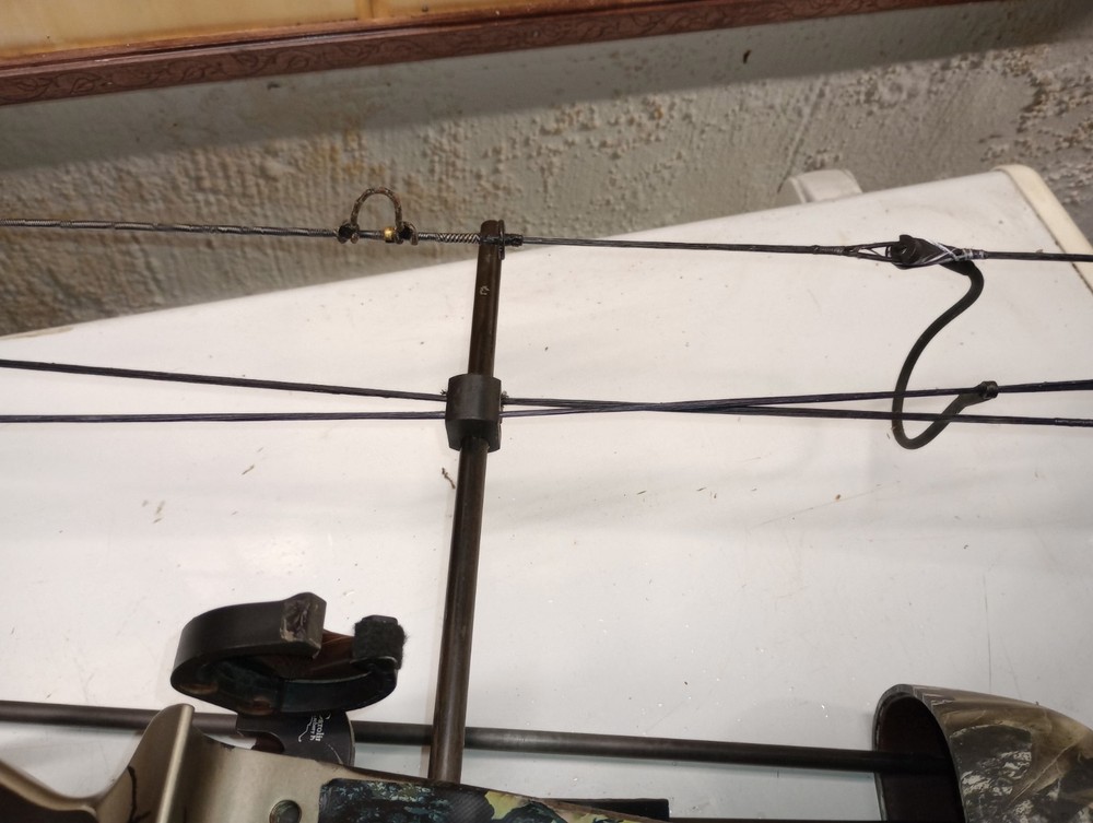 hoyt compound bow left handed