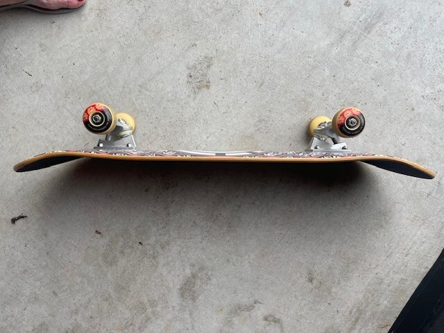 Element Skateboards Paisel Complete-7.75
