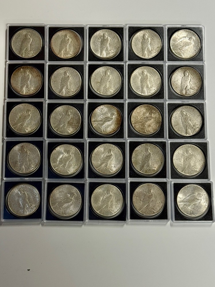 1923 Peace Silver Dollar Lot (25)