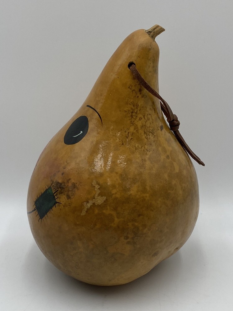 Hand Painted Birdhouse Gourd. Scarecrow