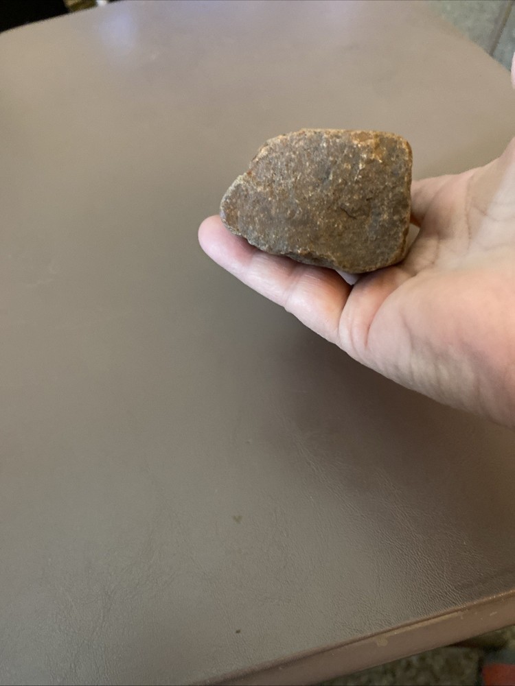 Petrified Wood