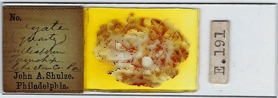 Agate Petrographic Microscope Slide for Polariscope by Shulze