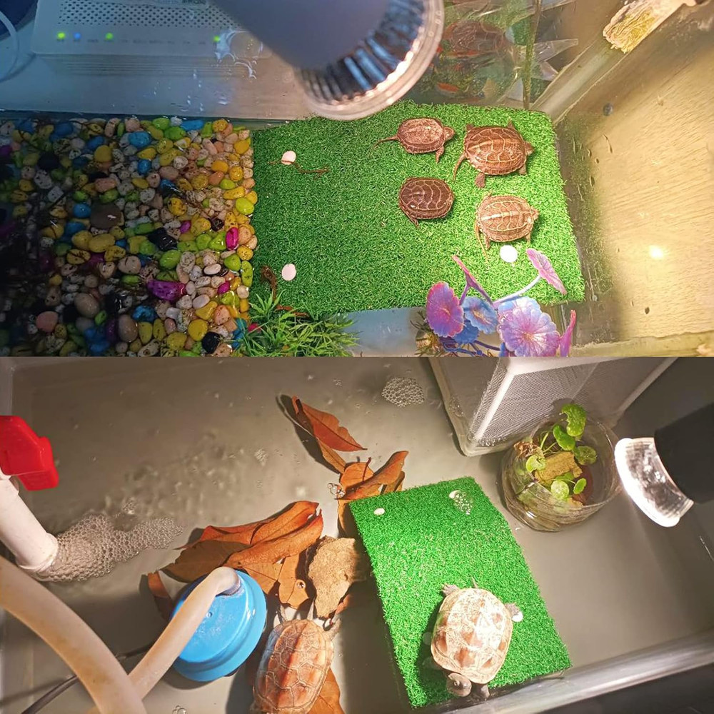 Small Turtle Basking Platform Simulation Grass Turtle Ramp, Turtle Resting Ba...