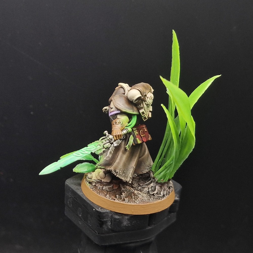 Pro Painted Warhammer 40k primaris Phobos Librarian Games workshop