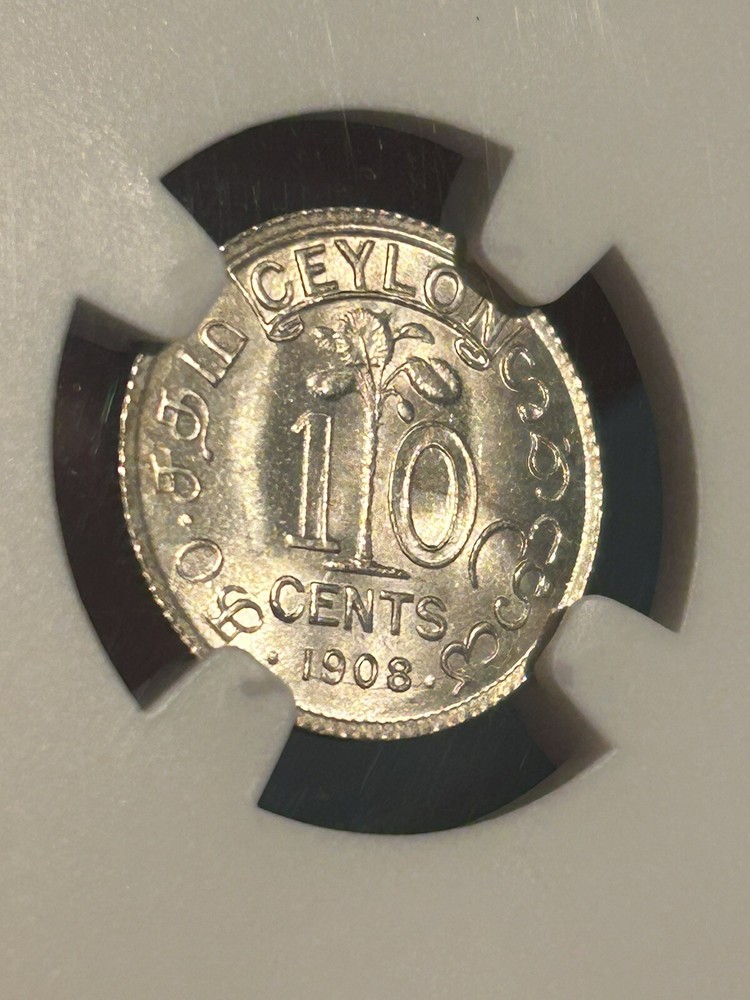 Ceylon 10 Cents 1908 MS66 Top Pop