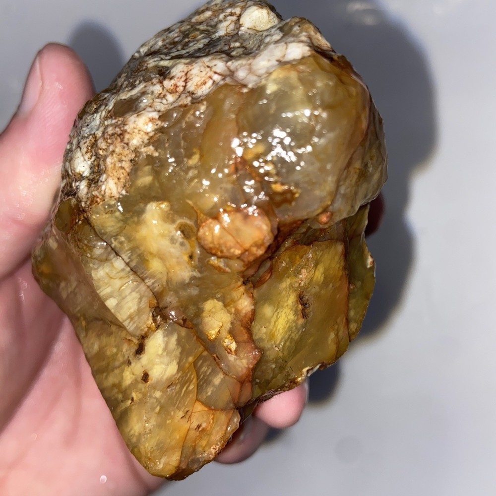 Cornflake Carnelian Unique Rough Lapidary Material 1 Pound 1.1 Oz
