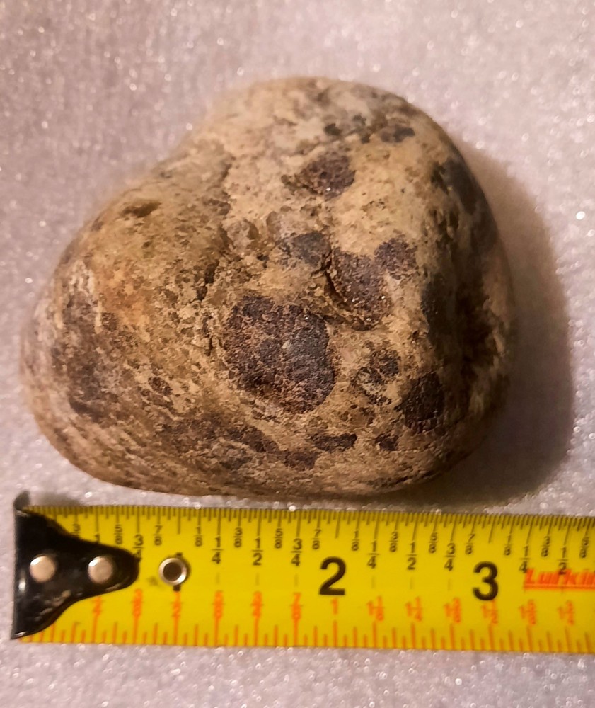 Garnet In Metamorphic Matrix Host Rock
