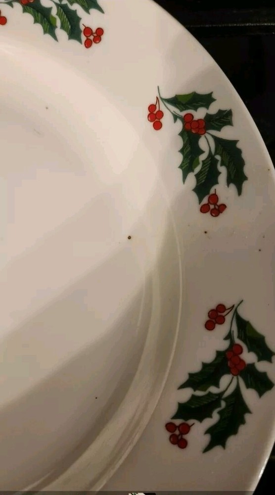 12 Pc. Holly Berry Dinner Place Setting by Alco Industries