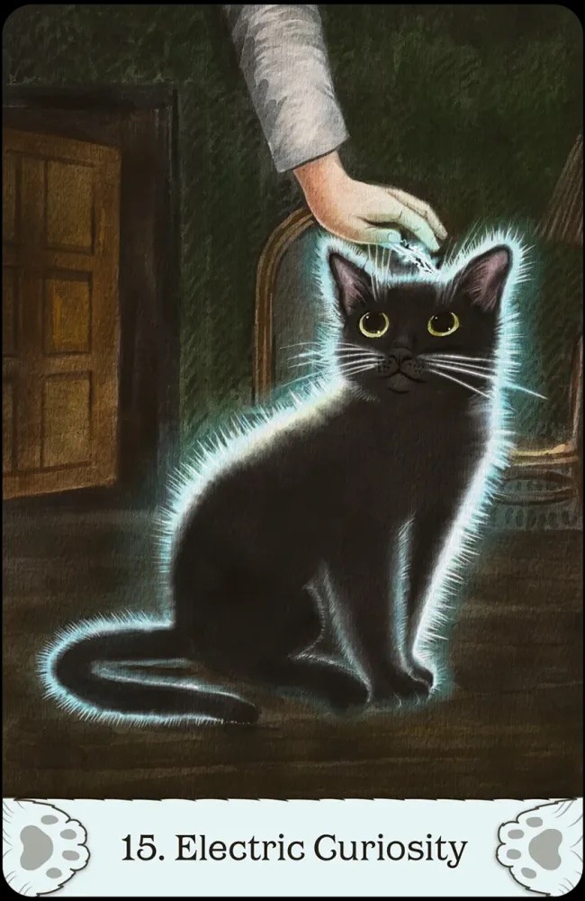 Cat Mythos & Magick Oracle Card Deck!