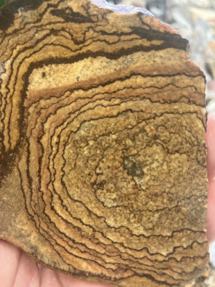 Deschutes Jasper Slab