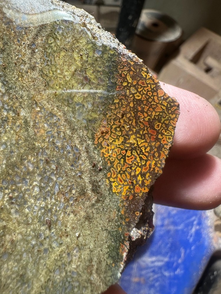 Dinosaur bone rough **hxtled slab.