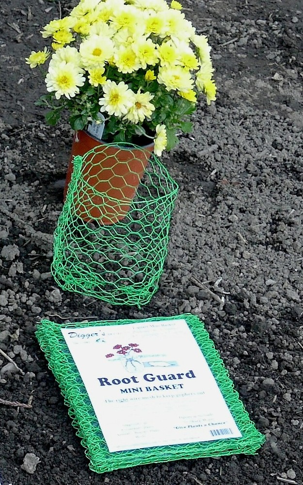 Digger's RootGuardTM Heavy Duty Gopher Wire Baskets, 1-Quart Size, BULK 24-QTY 