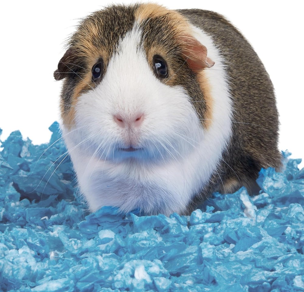 Kaytee Clean & Cozy Blue Bedding 24.6 Liters