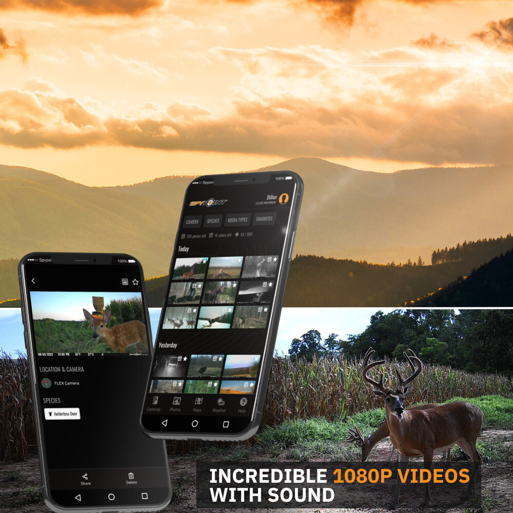 Spypoint Flex M Night Vision Motion Activate Cellular Trail Camera 2 Pack Bundle