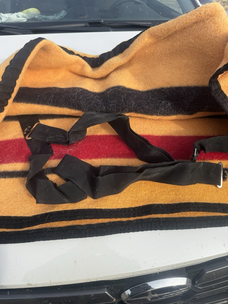 Shires Wool Blanket 78”