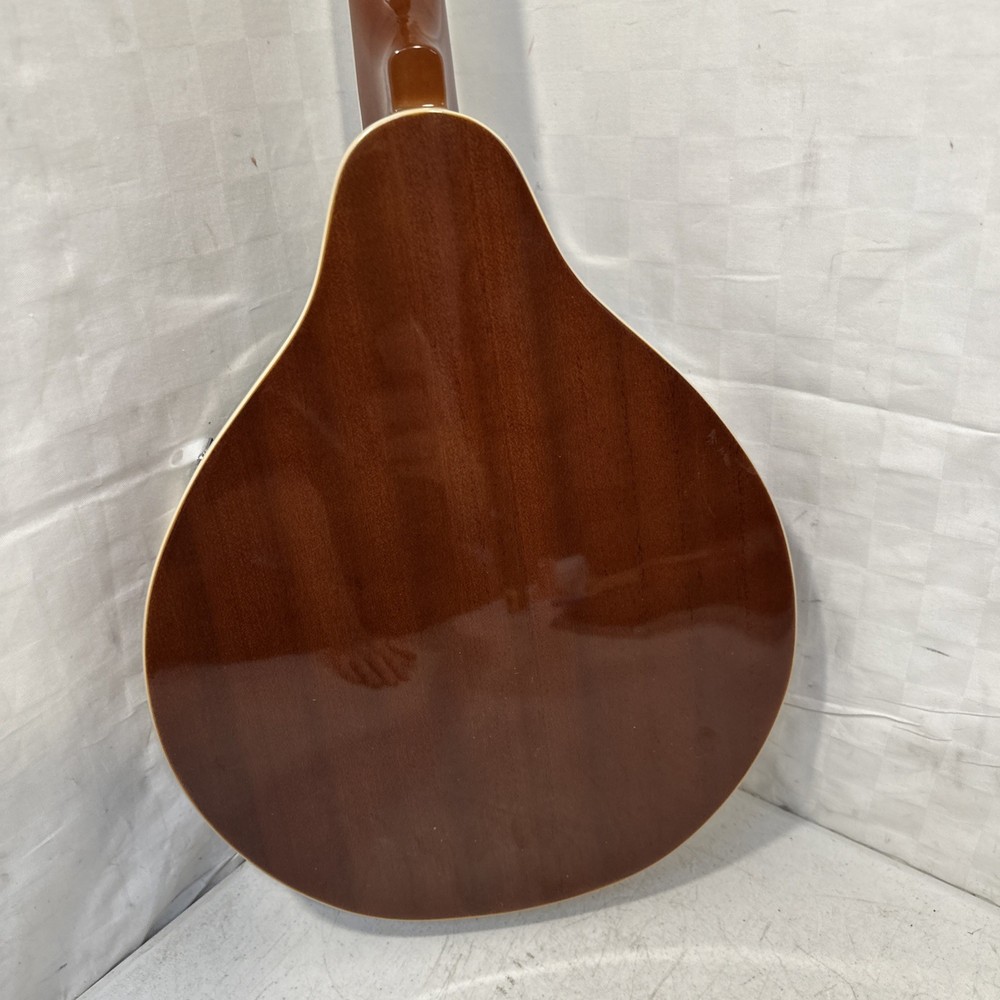Yagaki Archtop A-Style Mandolin