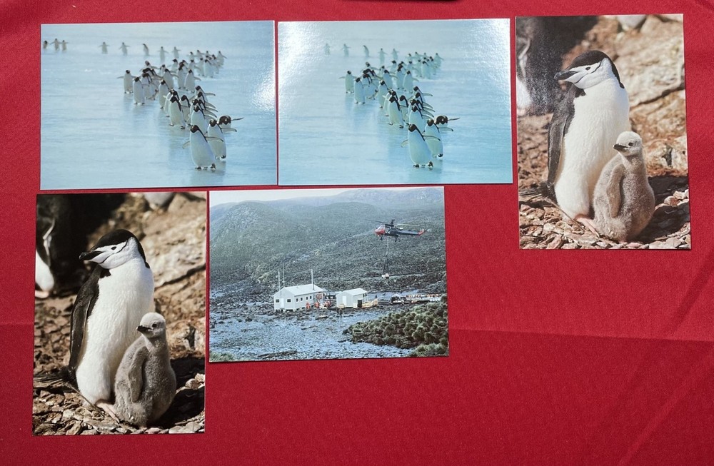 56 x British Antarctic Territory BAS Postcards