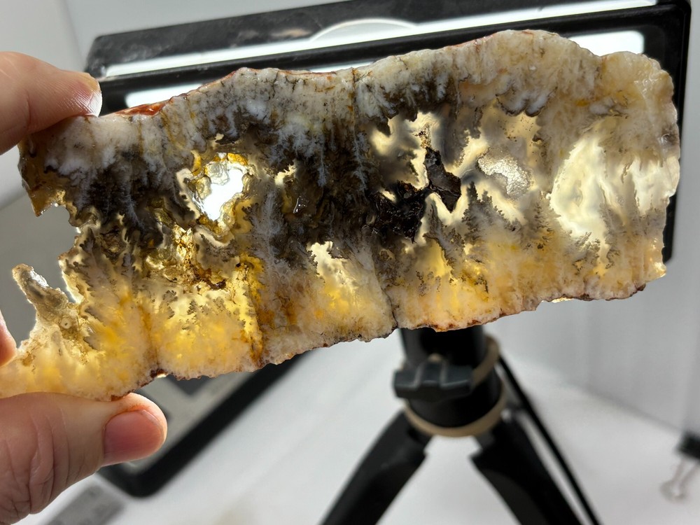 Plume Agate slab Cabbing Lapidary Combo Ship Avail Oregon