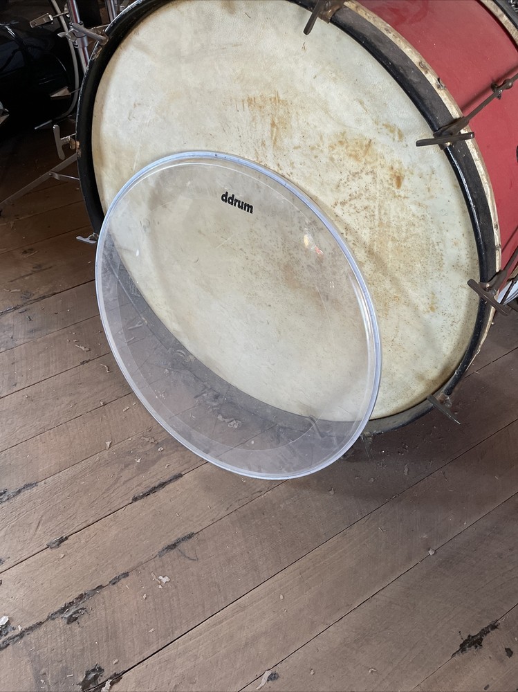 ddrum 22 in. Kick Drum Head  OEM