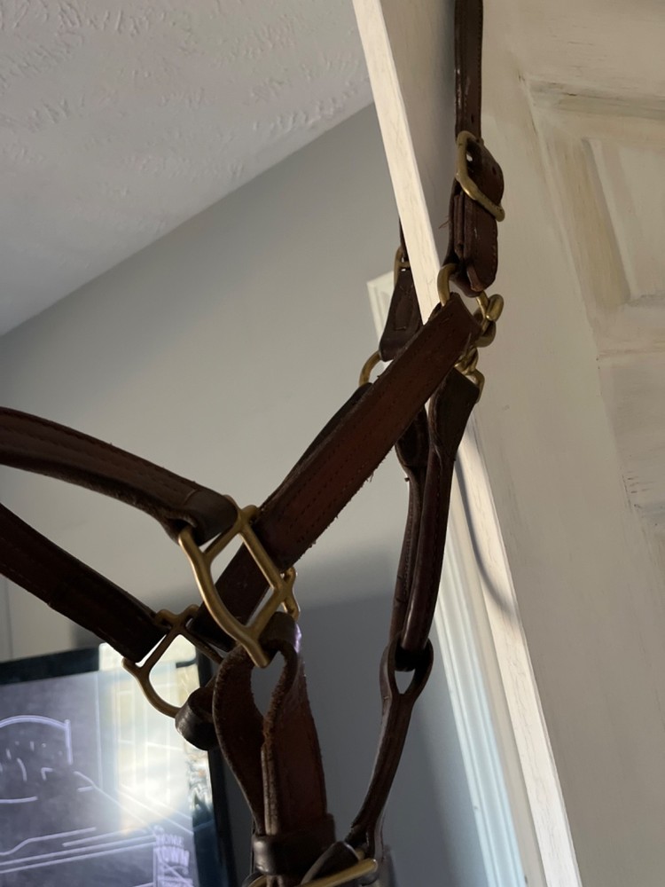 New Dover Equine bridal