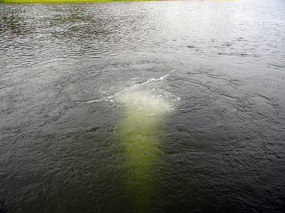 EasyPro QS2 Quick Sink Self Weighted Diffuser Assembly – Double Diffuser