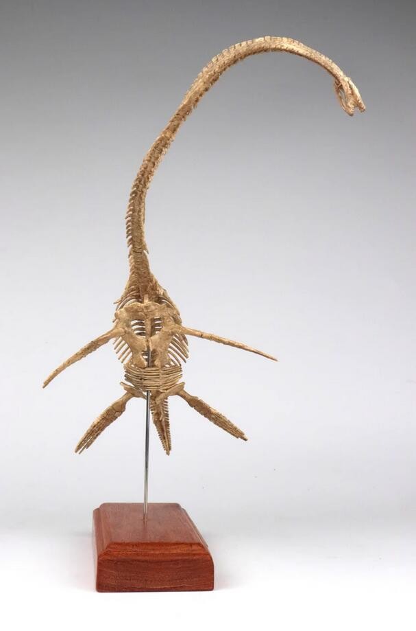 Elasmosaurus Skull Dinosaur Statue Skeleton Model Animal Model Display