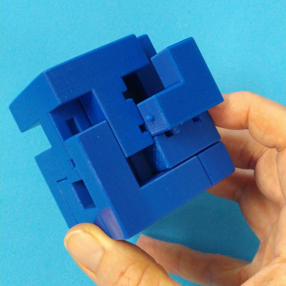 Proteus - Interlocking Assembly Maze Cube Puzzle