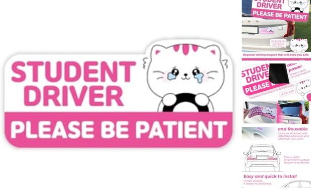 Student Driver Car Magnet Cute - Weather - Resistant Colorful - Rectangular Cat