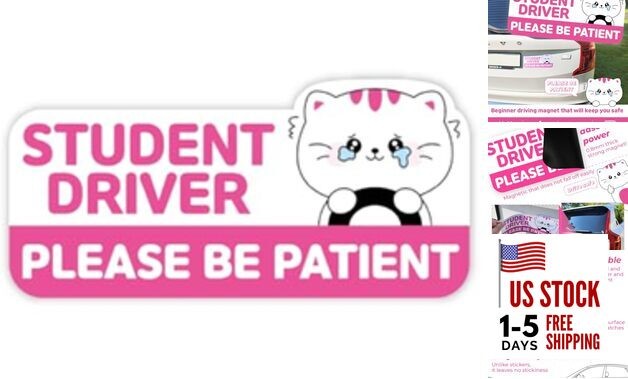Student Driver Car Magnet Cute - Weather - Resistant Colorful - Rectangular Cat