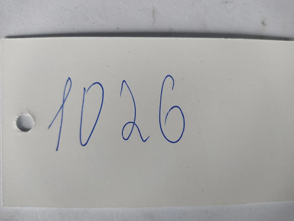 Original BMW E84 Impeller DXC Front 34526784991