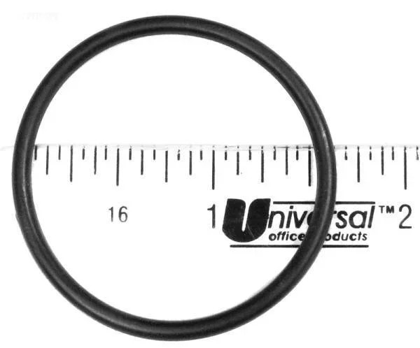 O-Ring, Bottom