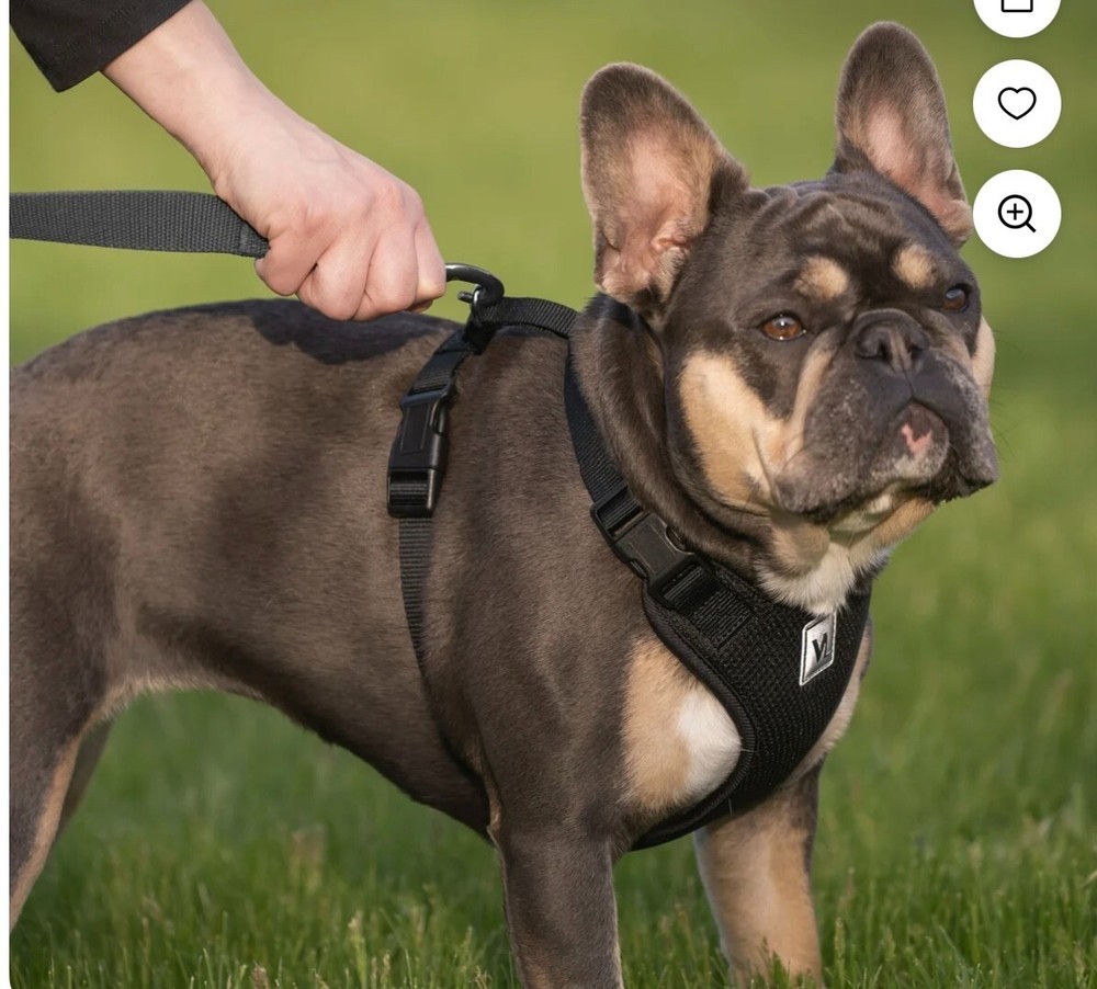Vibrant Life Mesh Adjustable, Reflective Dog Walking Harness, Black, Large