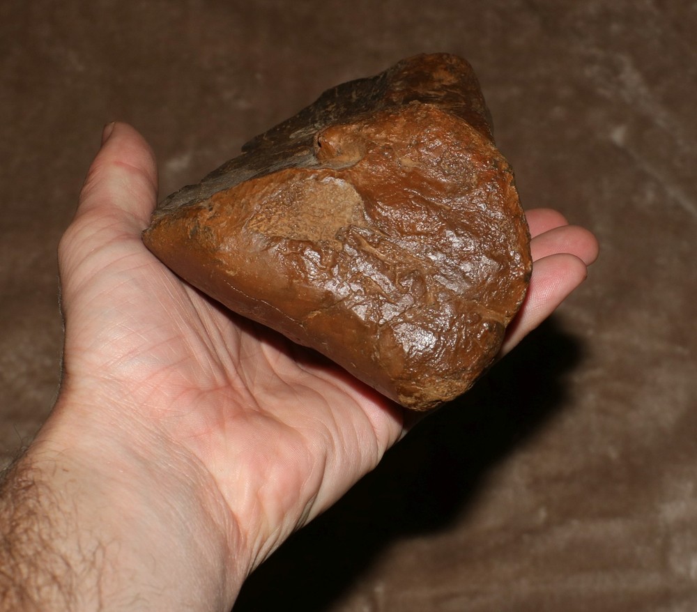Unknown Dinosaur Bone Fossil - Heavy Thick Skull Hell Creek Formation Cretaceous