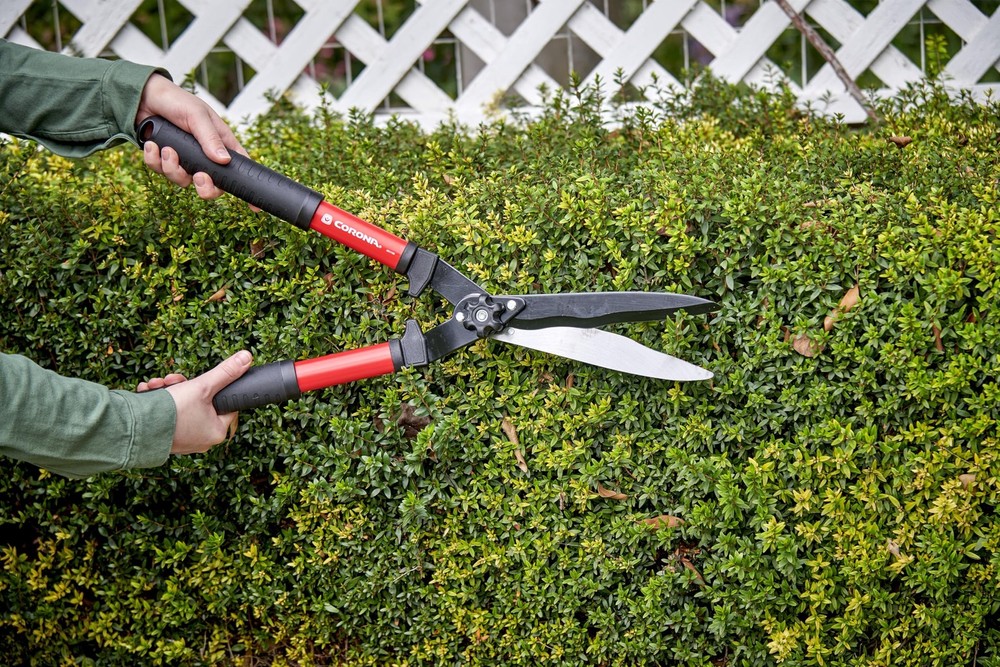 Tools Shrub, Branch & Stem 3 Piece Set