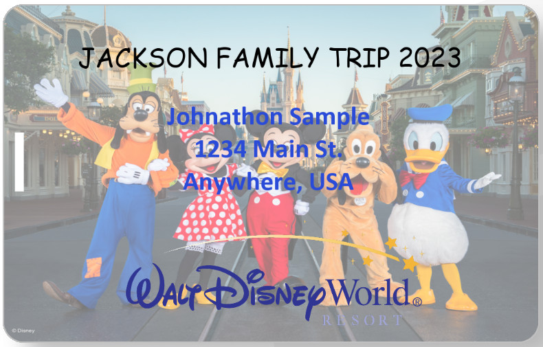 Custom printed luggage/bag tags printed and shipped same day