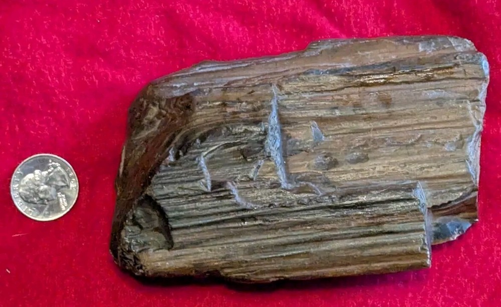 2 Lb Petrified Wood